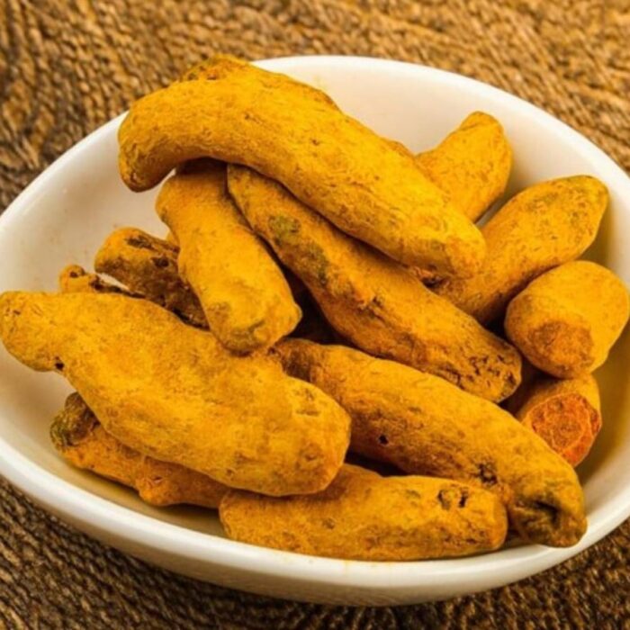 Sacred turmeric root (Haldi Ganth) for auspicious Hindu rituals and pooja.