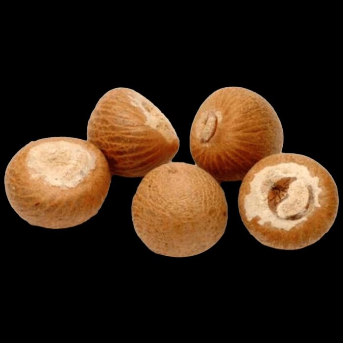Natural Betel Nuts (Pooja Supari) - 5pc for Hindu rituals