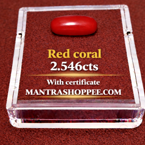 Natural Red Coral 2.546 CT certified premium gemstone for daily wear