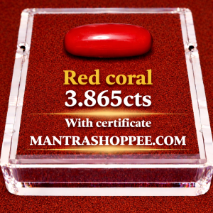 Natural Red Coral 3.865 CT certified premium gemstone for astrology