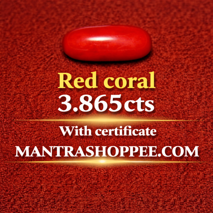 Natural Red Coral 3.865 CT certified premium gemstone for astrology Natural Red Coral 3.865 CT certified premium gemstone for astrology