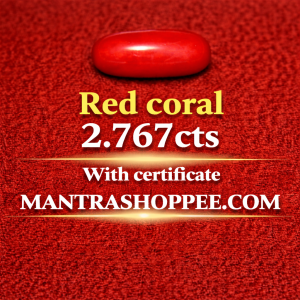 Natural Red Coral 2.767 CT certified premium gemstone for daily wear