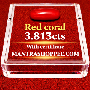Natural Red Coral 3.813 CT certified premium gemstone