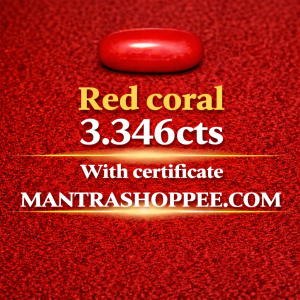 Natural Red Coral 3.346 CT certified premium gemstone for astrology