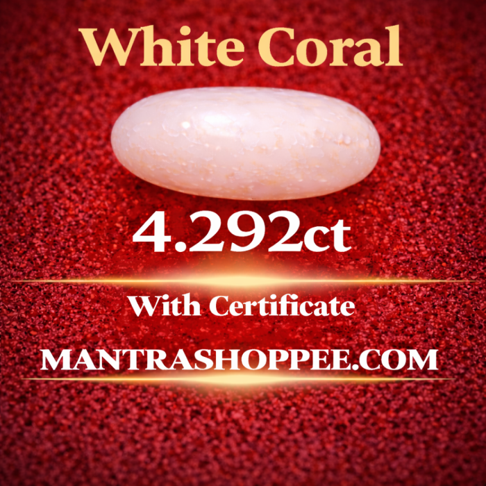 Natural White Coral 4.292 CT certified premium gemstone for emotional balance Natural White Coral 4.292 CT certified premium gemstone for emotional balance