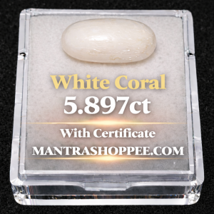 Natural White Coral 5.897 CT certified premium gemstone for emotional balance