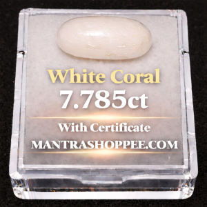 Natural White Coral 7.785 CT certified premium gemstone for emotional balance