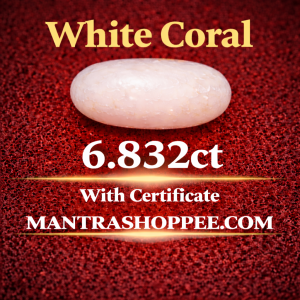 Natural White Coral 6.838 CT certified premium gemstone for emotional balance