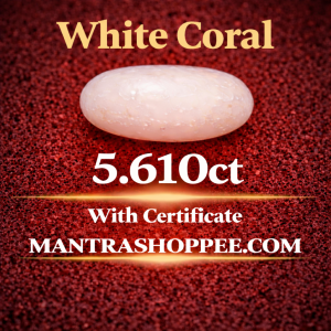 Natural White Coral 5.610 CT certified premium gemstone for emotional balanc