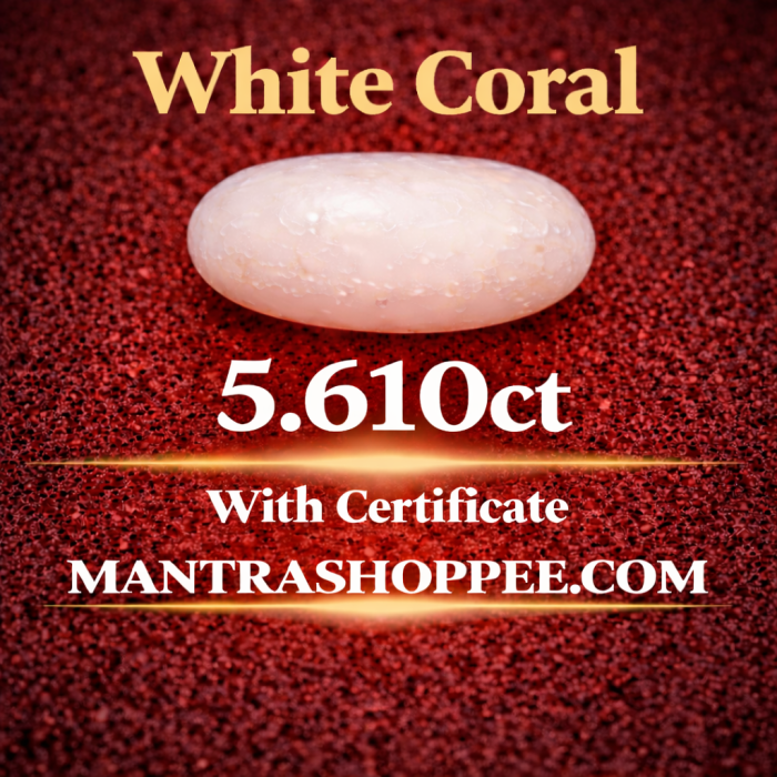 Natural White Coral 5.610 CT certified premium gemstone for emotional balanc Natural White Coral 5.610 CT certified premium gemstone for emotional balanc