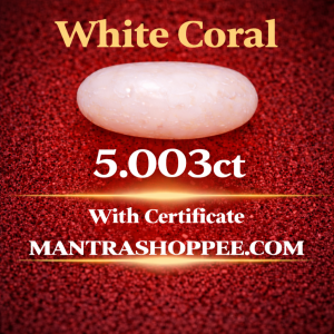Natural White Coral 5.003 CT certified premium gemstone for emotional balance