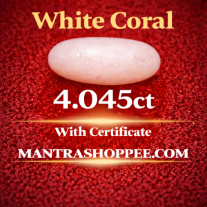 Natural White Coral 4.045 CT certified premium gemstone for emotional balance