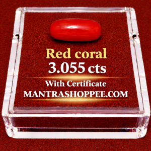 Natural White Coral 3.055CT certified premium gemstone for emotional balance