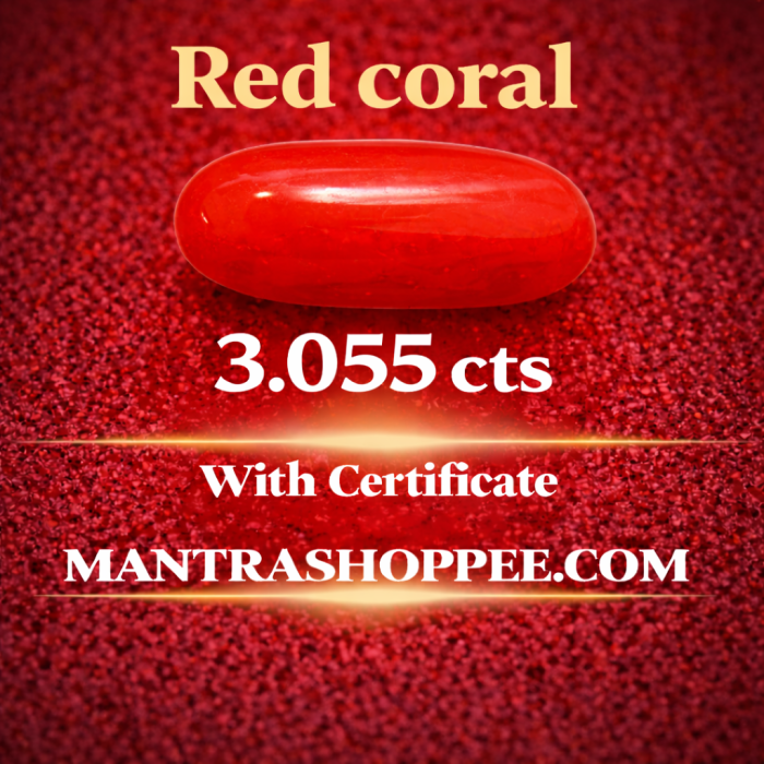 Natural White Coral 3.055CT certified premium gemstone for emotional balance