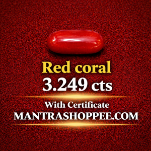 Natural White Coral 3.249CT certified premium gemstone for emotional balance