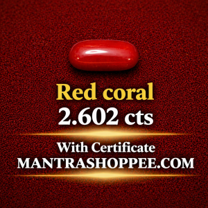 Natural White Coral 2.602CT certified premium gemstone for emotional balance