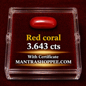 Natural White Coral 3.643CT certified premium gemstone for emotional balance