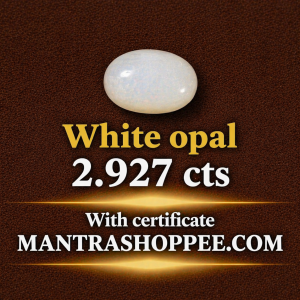 Natural White Coral 2.927CT certified premium gemstone for emotional balance