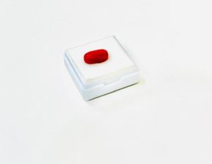 Red coral Gemstone 3.210 carat Natural Grow
